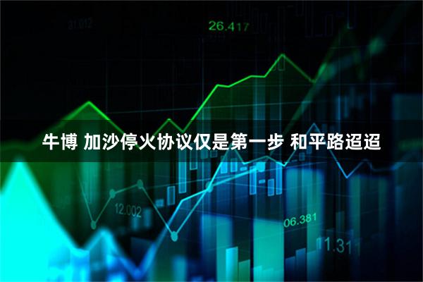 牛博 加沙停火协议仅是第一步 和平路迢迢