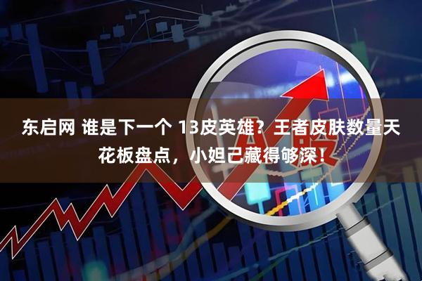 东启网 谁是下一个 13皮英雄？王者皮肤数量天花板盘点，小妲己藏得够深！