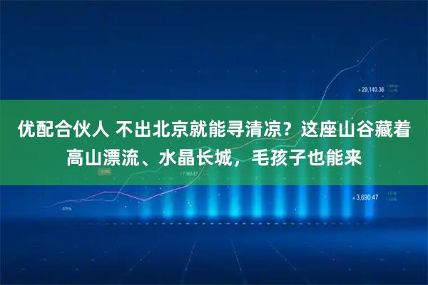 优配合伙人 不出北京就能寻清凉？这座山谷藏着高山漂流、水晶长城，毛孩子也能来