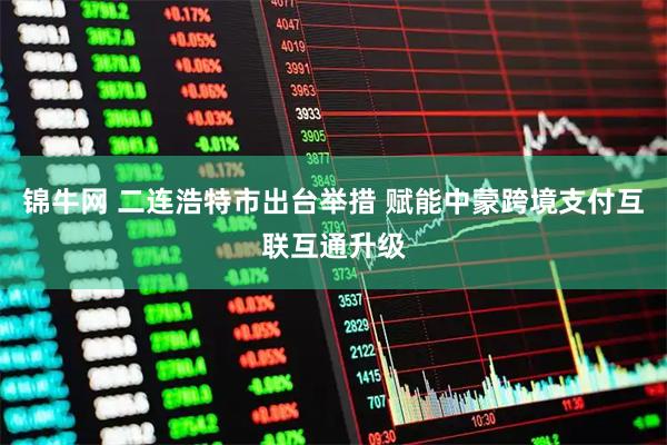 锦牛网 二连浩特市出台举措 赋能中蒙跨境支付互联互通升级